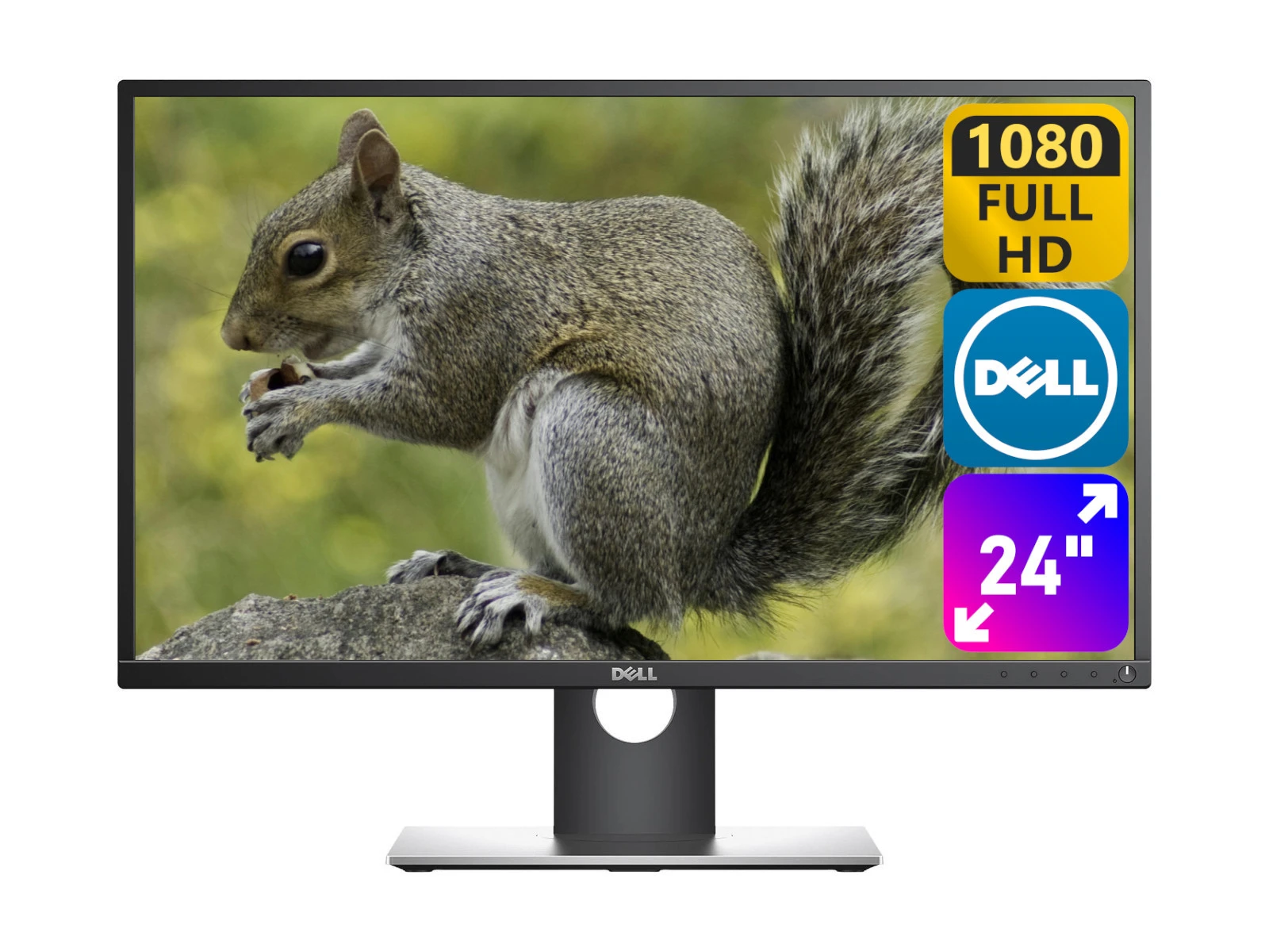 Monitor Dell P2417H 24'' Full HD 6ms A- | Green Computers