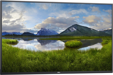 DELL C5519Q