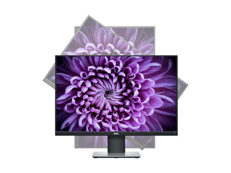 Dell P2421 24'' A