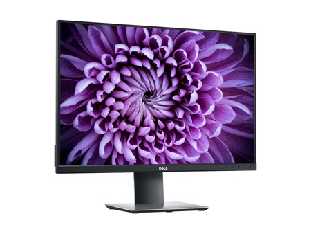 Dell P2421 24'' A