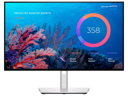 DELL U2422HE 24" A-