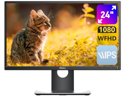Dell Professional P2417Hb 24" A-