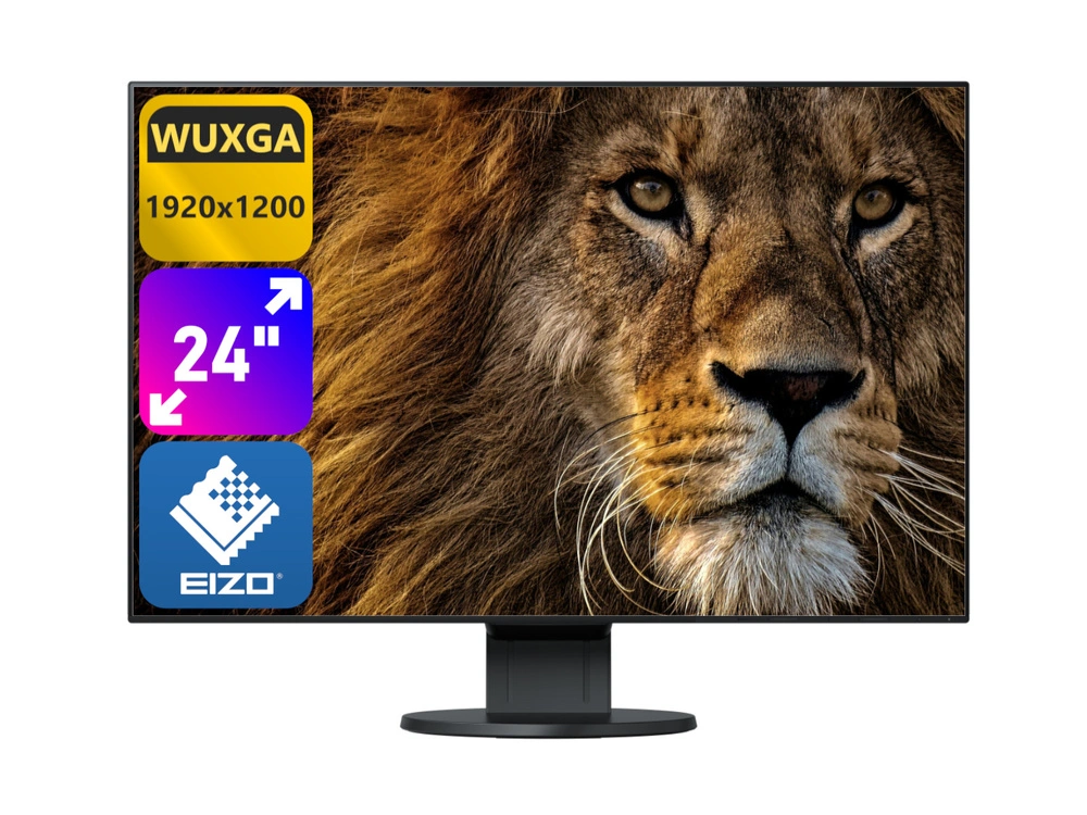 Eizo FlexScan EV2456 24" A black