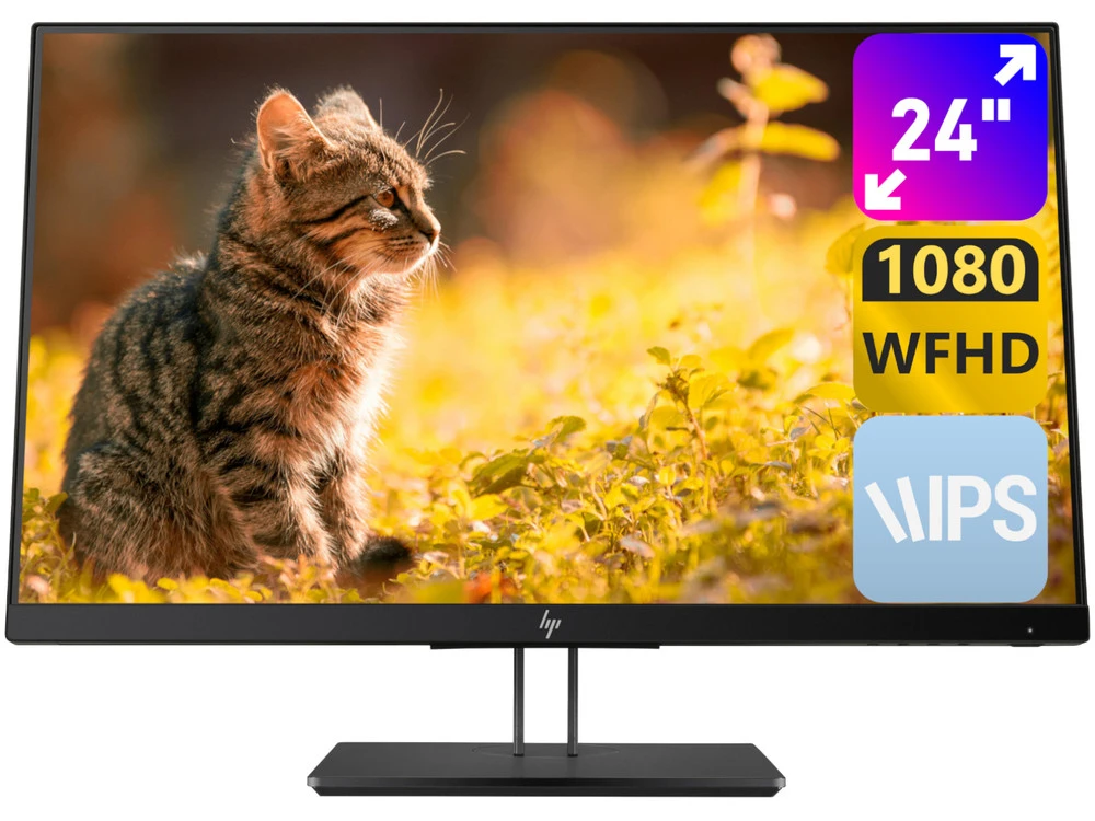 HP Z Display Z24nf G2 W24" A-