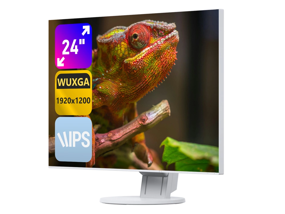 Eizo FlexScan EV2456 24" A- White