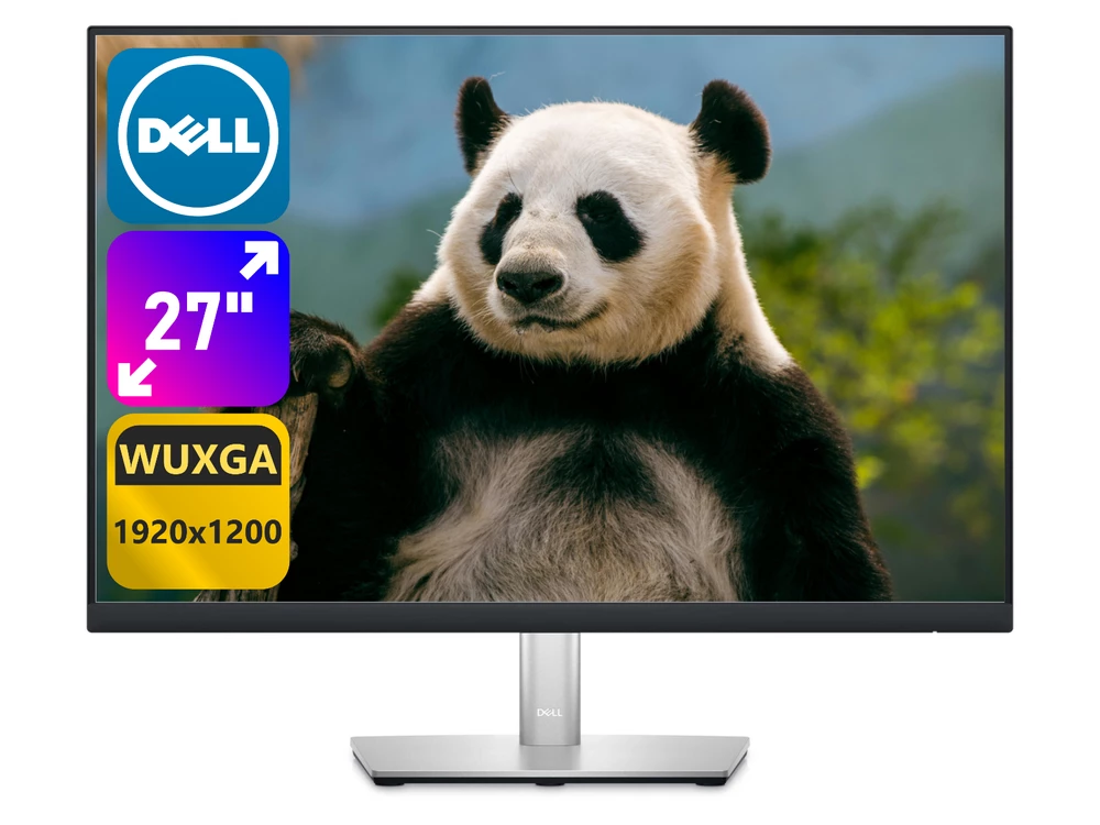 Dell P2423 24'' B