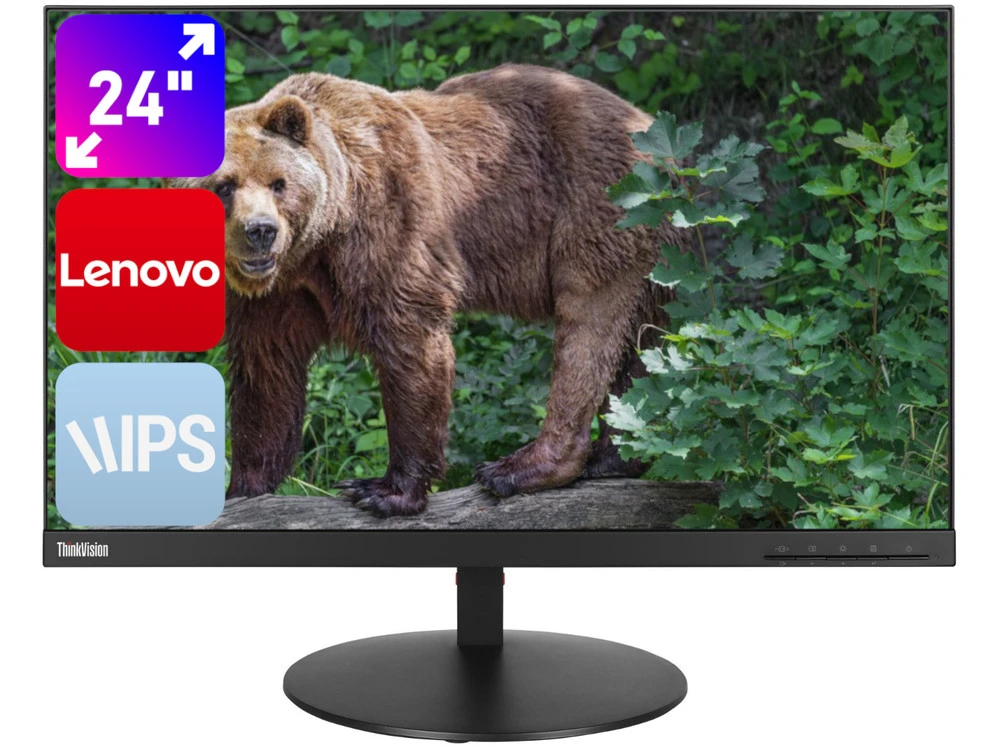 Lenovo ThinkVision P24q-10 24" A