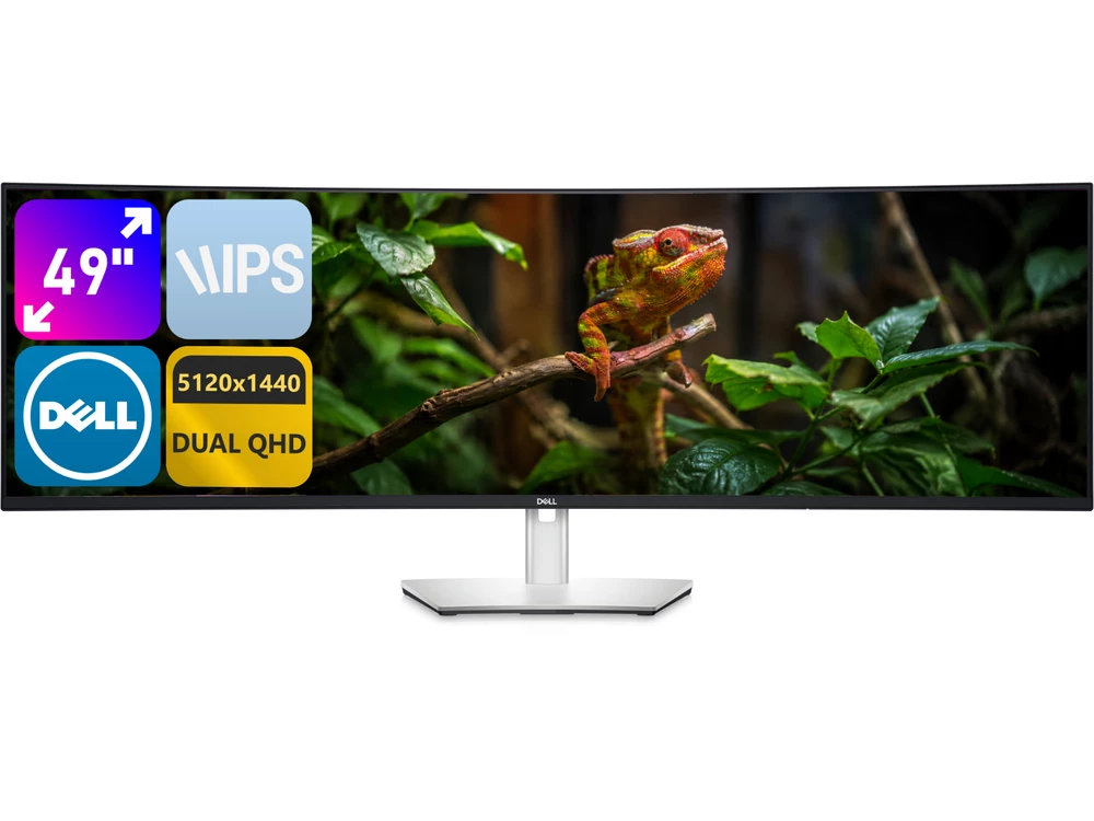 Dell U4924DW 49" A